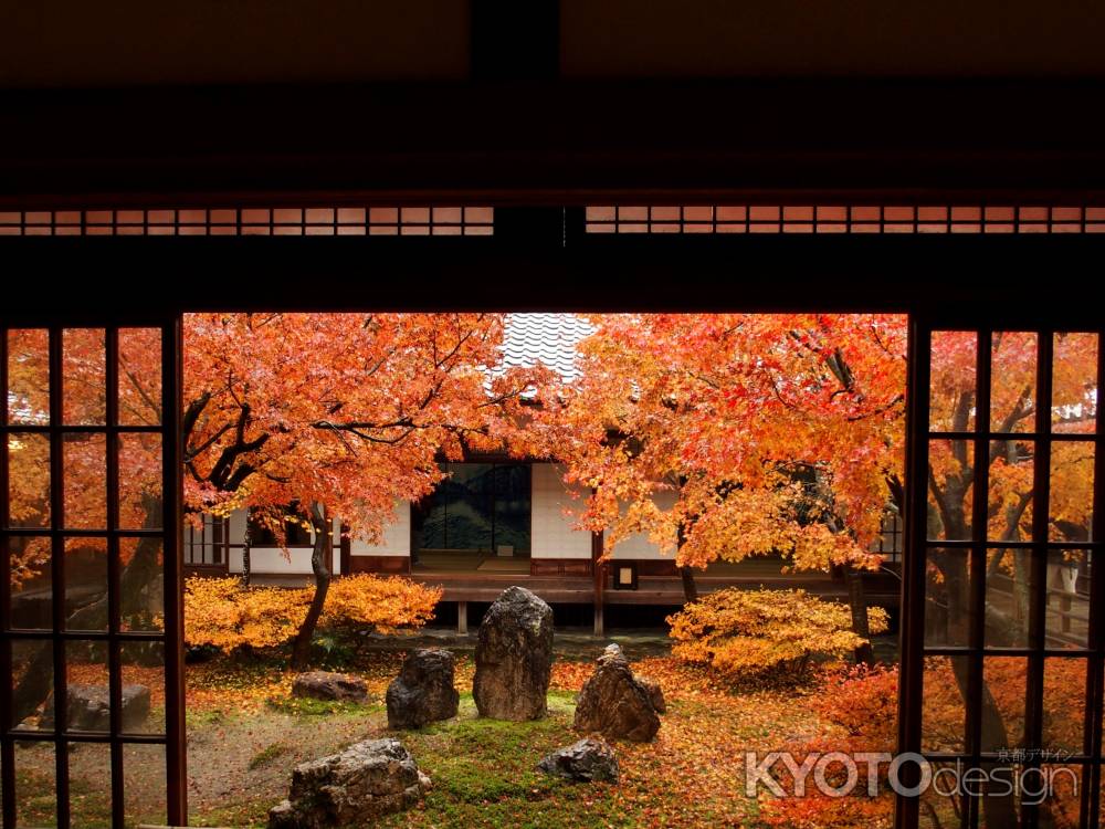 2019　晩秋　建仁寺　6