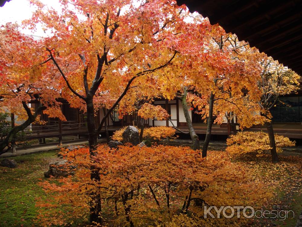 2019　晩秋　建仁寺　11