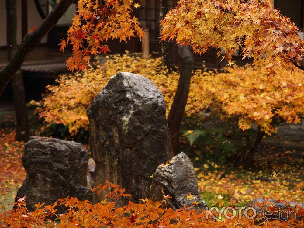 2019　晩秋　建仁寺　13