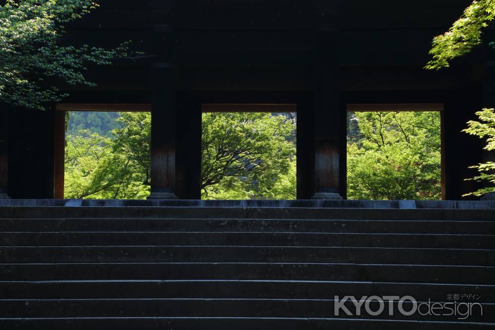 南禅寺夏の風景