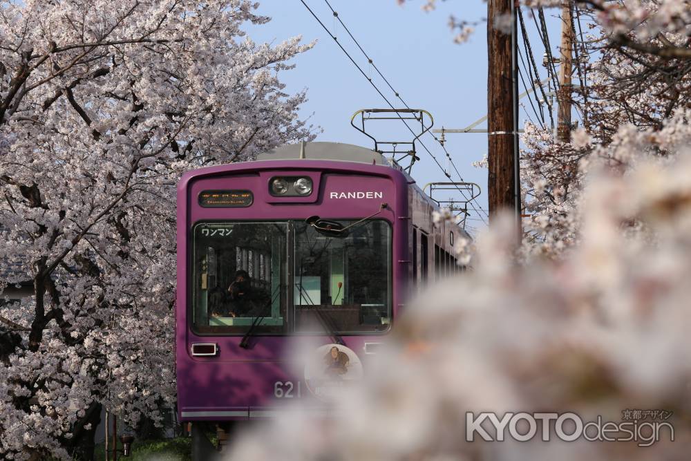 桜と嵐電