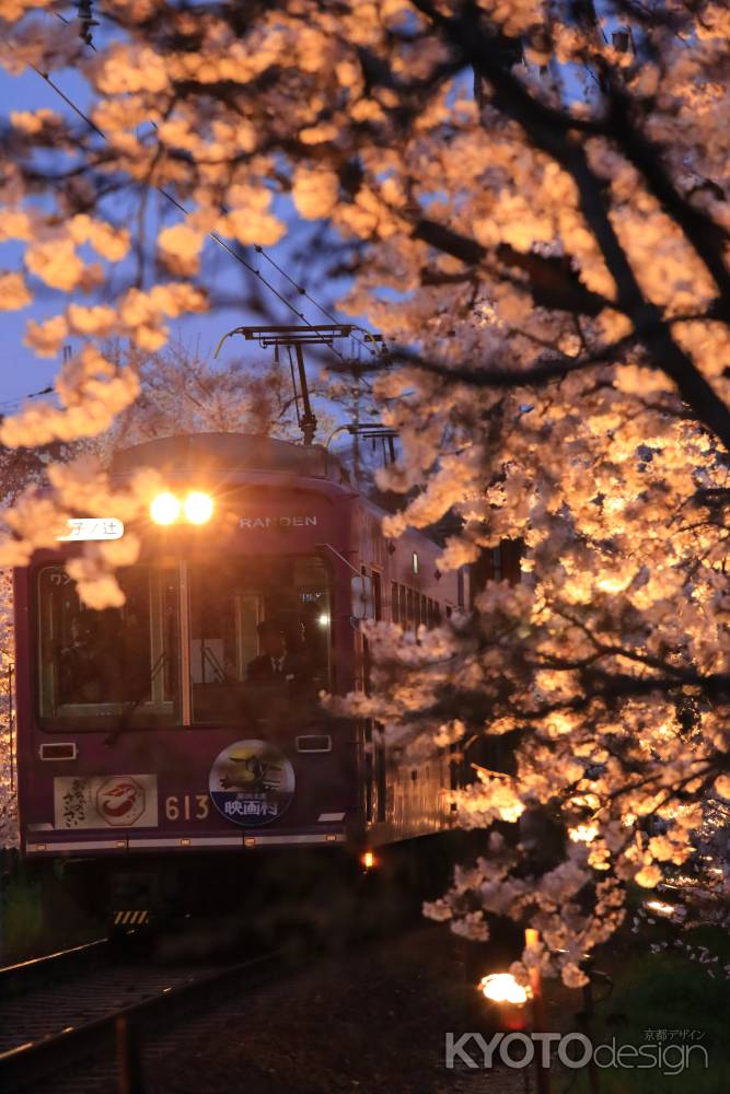 嵐電　夜の桜トンネル