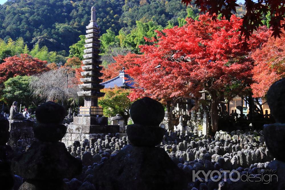 秋の奥嵯峨