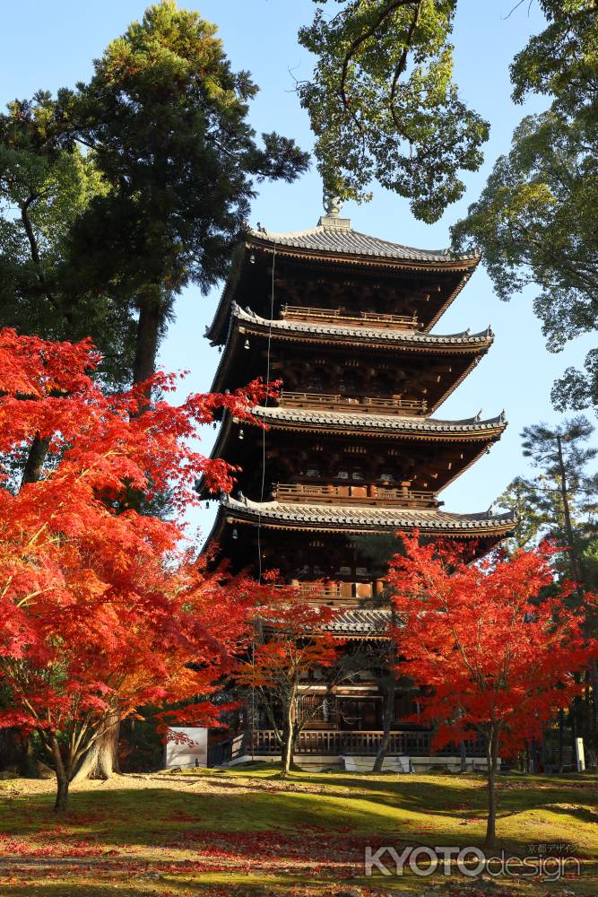 仁和寺五重塔と紅葉