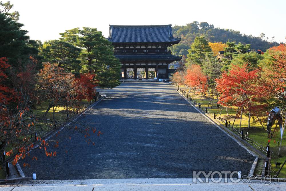 早朝の御室仁和寺仁王門