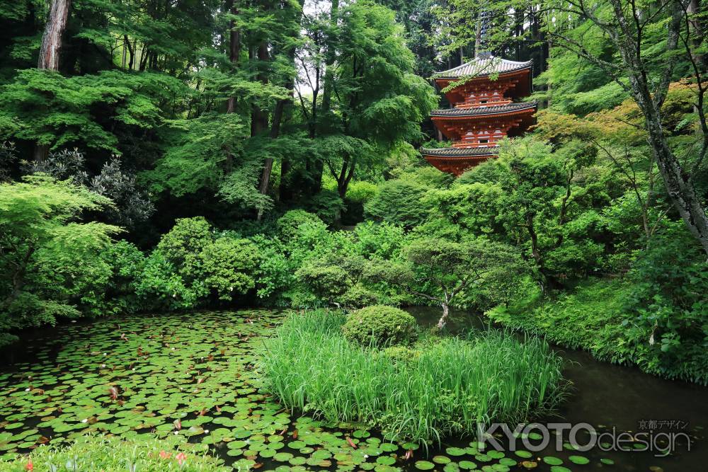 初夏　岩船寺②