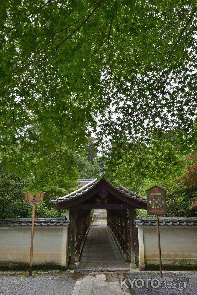 東福寺_龍吟庵　