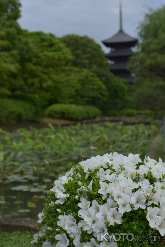 初夏と五重塔