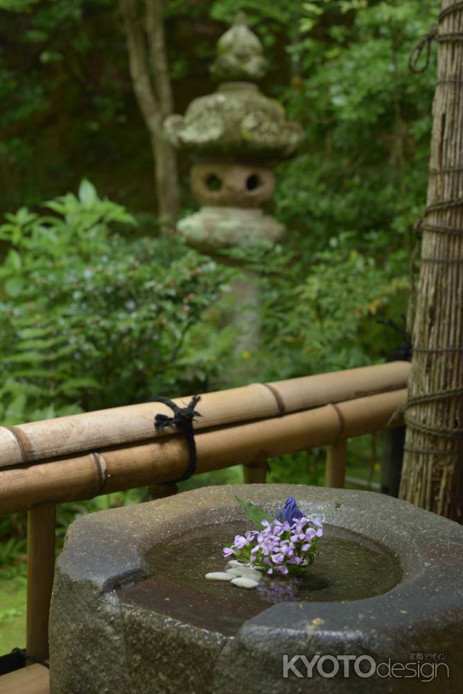 つくばいの花