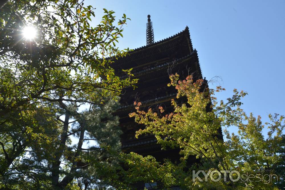 初秋の法観寺・五重塔