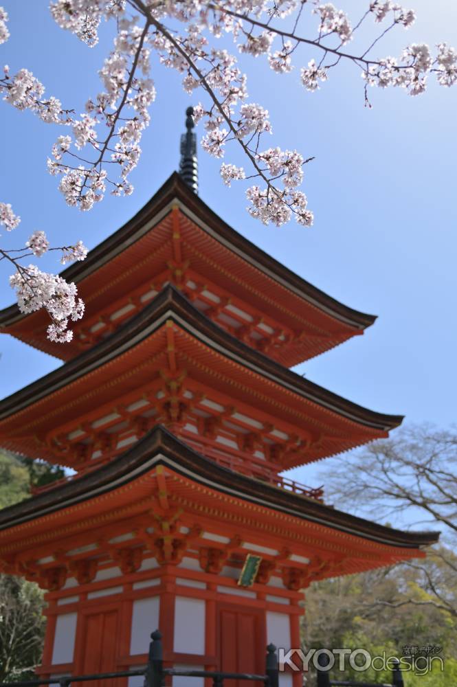 桜と子安の塔