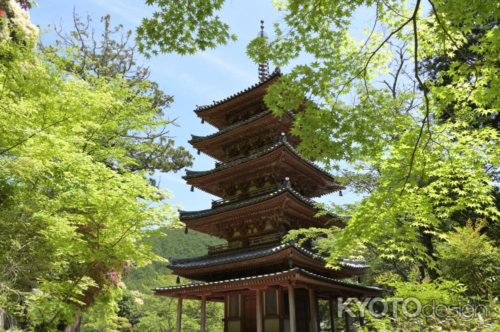 新緑と国宝・五重塔＿海住山寺