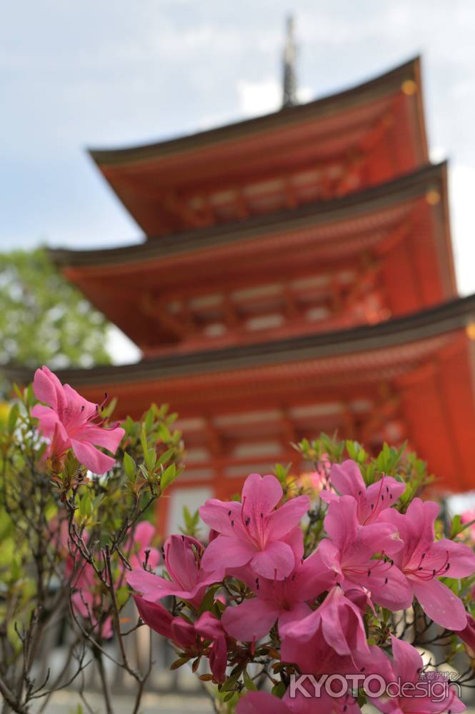 春から初夏へ＿清水寺・子安の塔