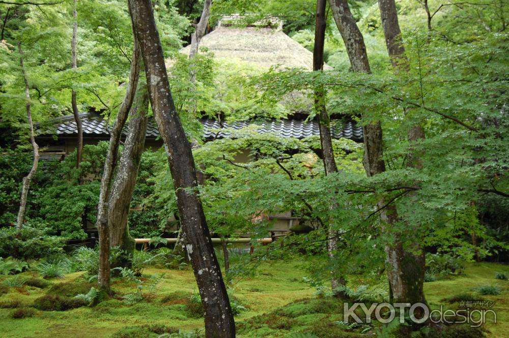 祇王寺