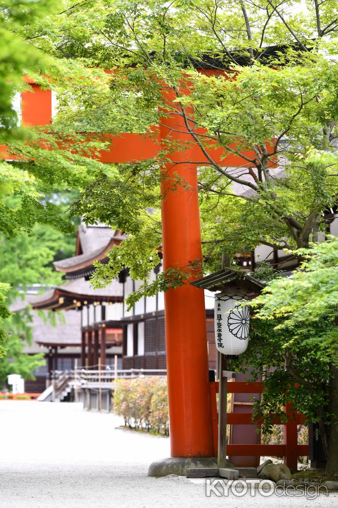 下鴨神社　西の鳥居