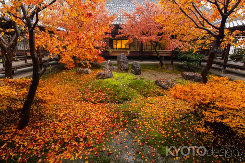 京都建仁寺、晩秋の潮音庭