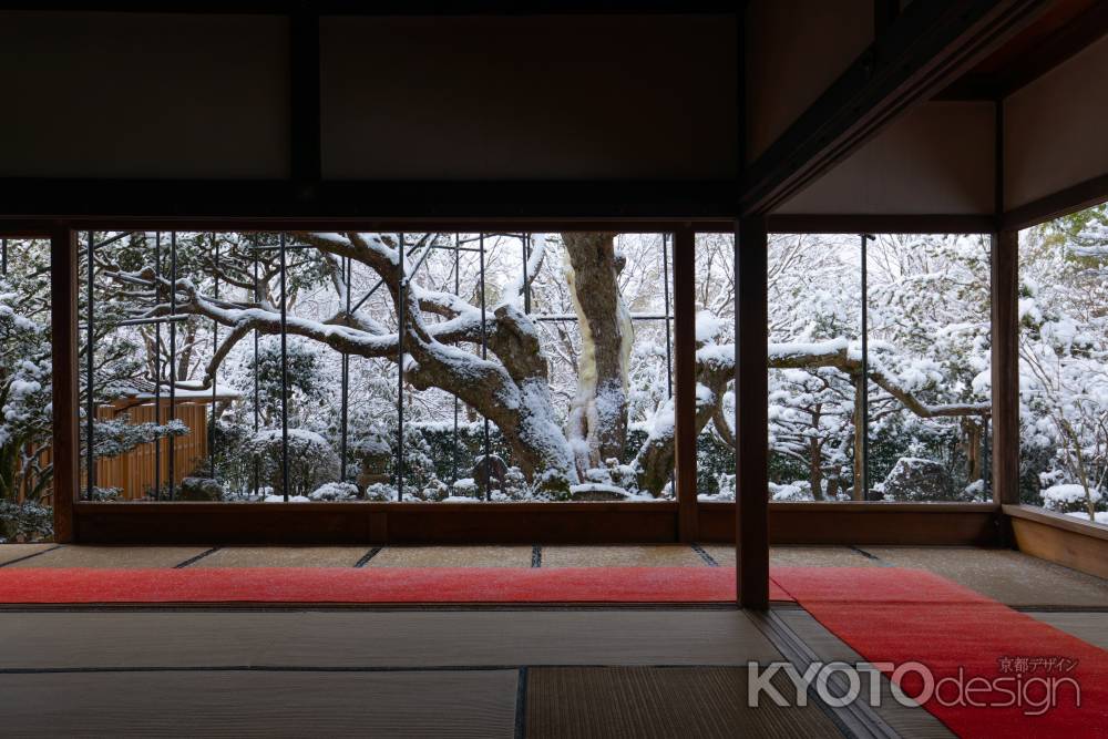 雪化粧した宝泉院