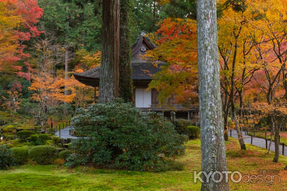 秋の京都大原三千院