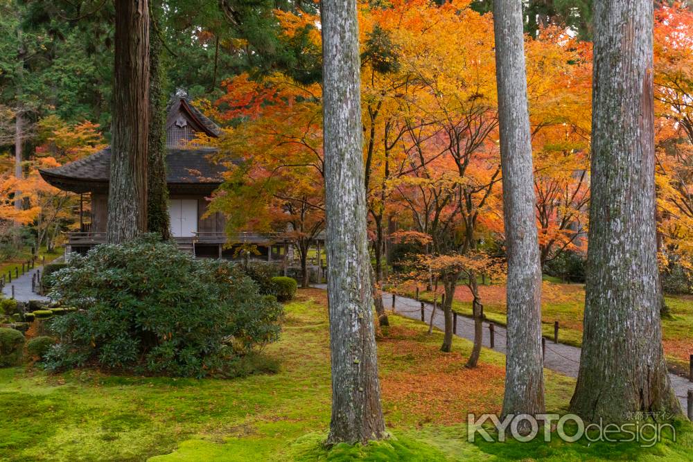 京都大原三千院