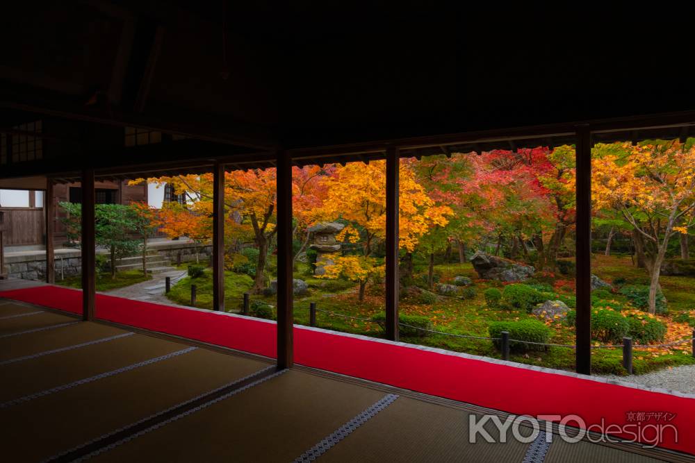 秋の圓光寺