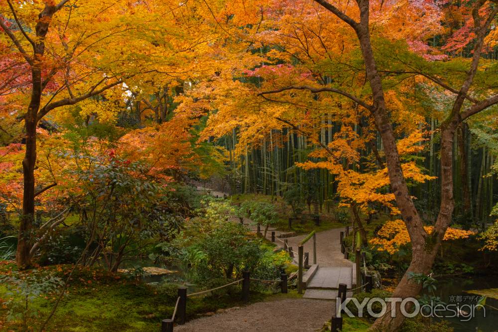 京都圓光寺十牛之庭