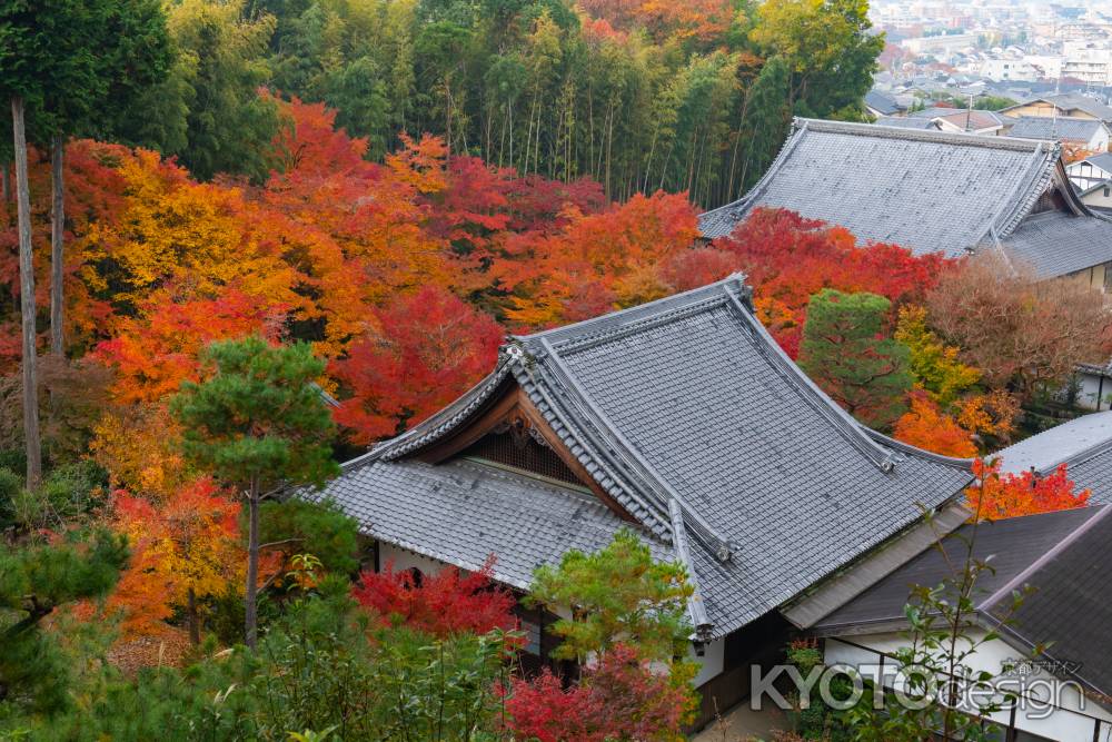 圓光寺の紅葉