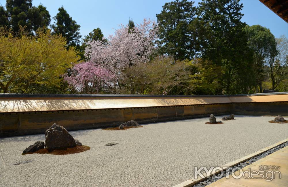 光輝く春　杮葺（こけらぶき）屋根