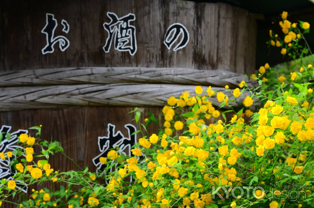 酒樽と山吹の花