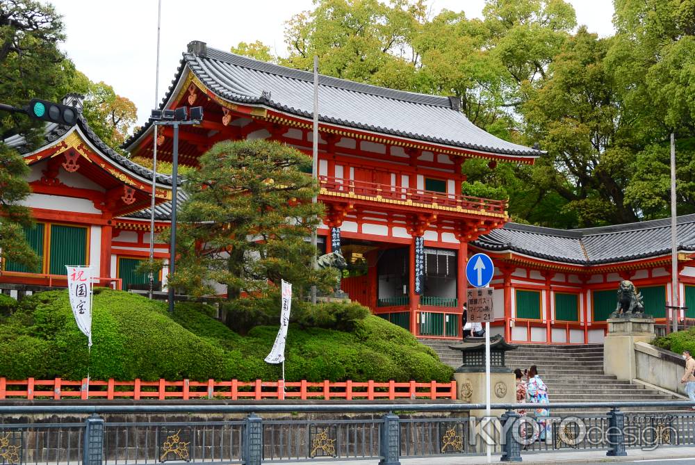 八坂神社さんの新緑