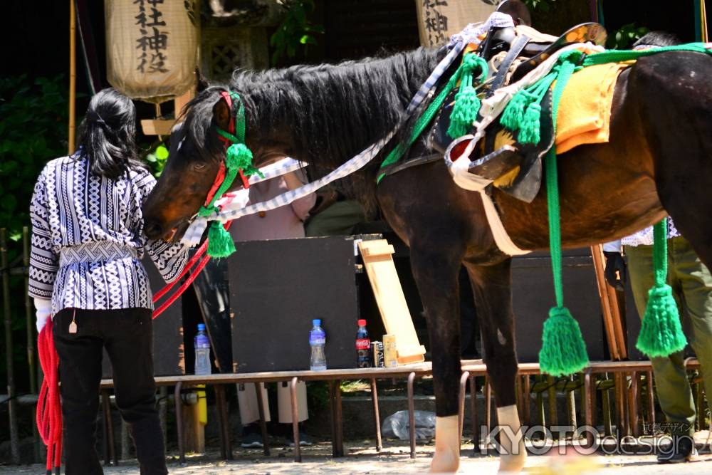 お馬さんもお疲れ様でした