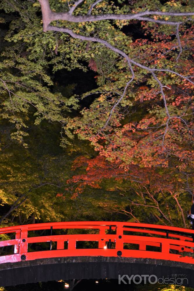 朱塗りの太鼓橋　秋到来