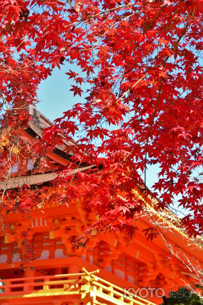 賀茂別雷神社さんの秋