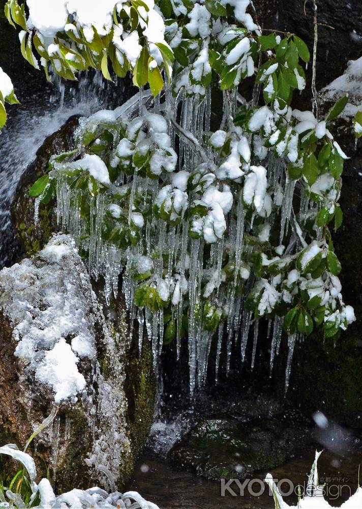 龍門の瀧　氷柱