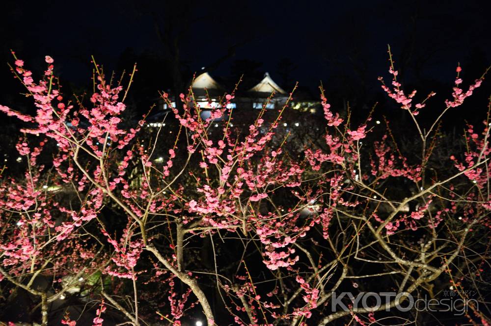 花の庭　和魂漢才