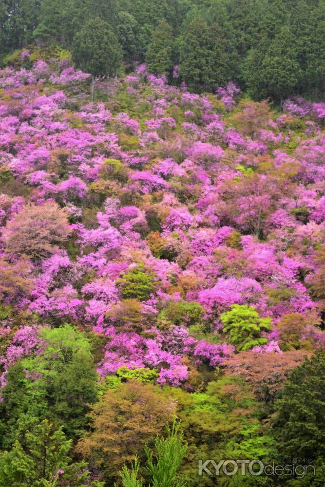 高雄　絶景