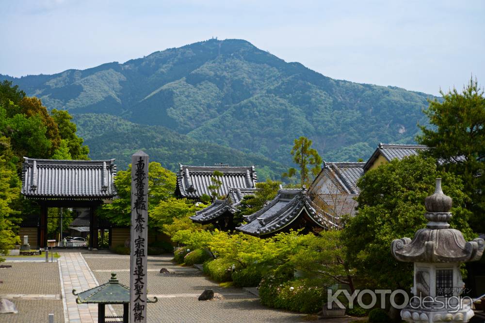 芽吹く比叡山