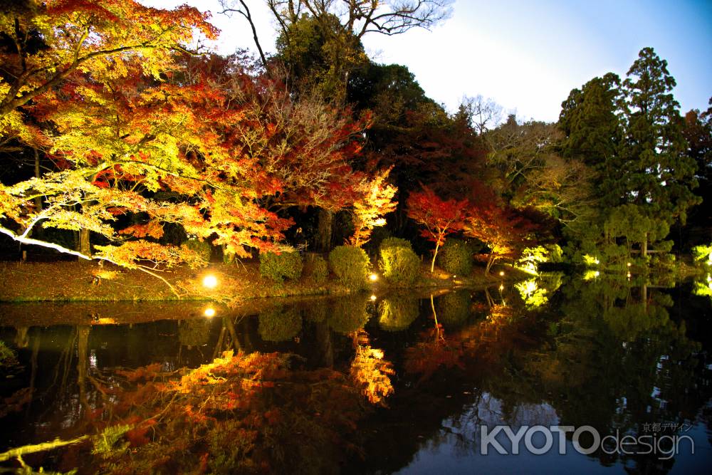 京都府立植物園ライトアップ　2023