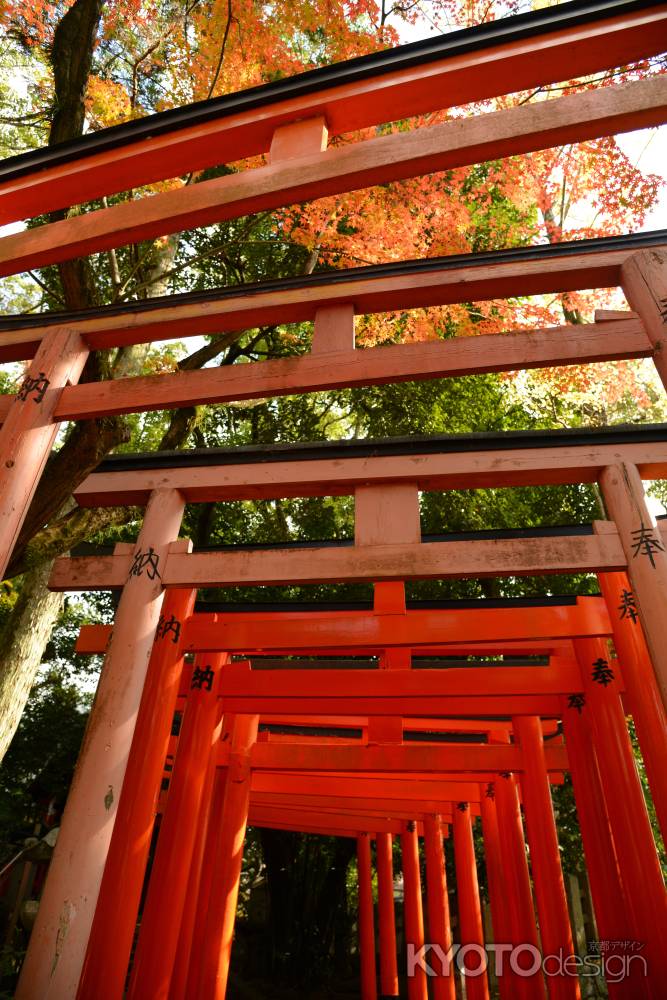 鳥居と紅葉