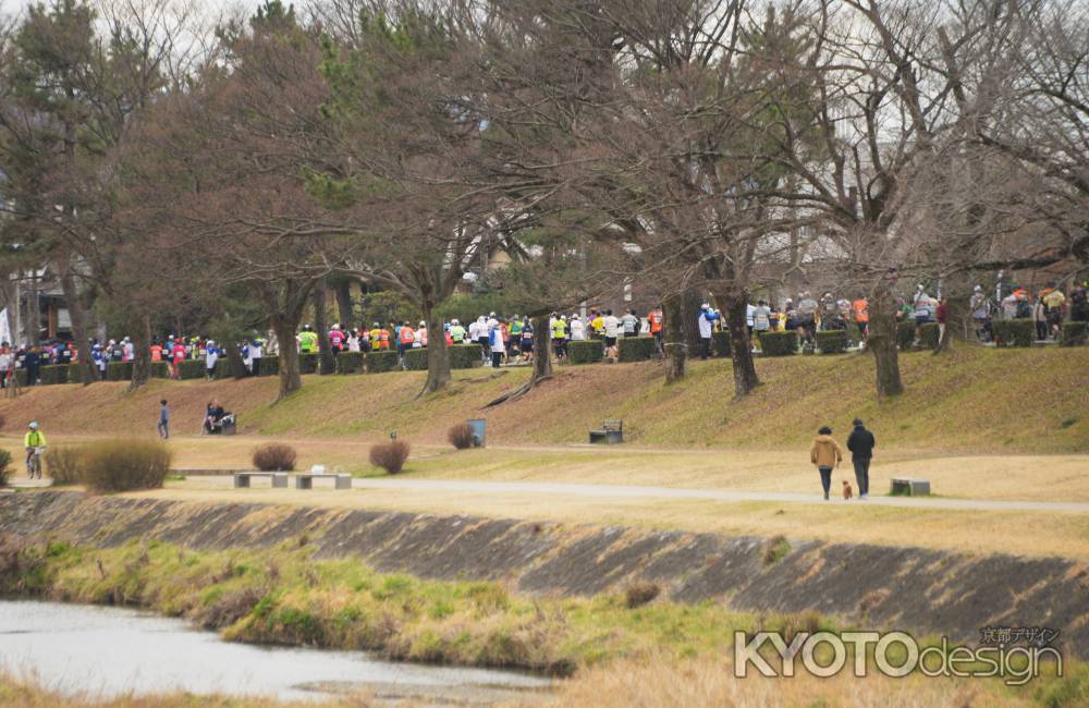 賀茂川沿いを走るランナー