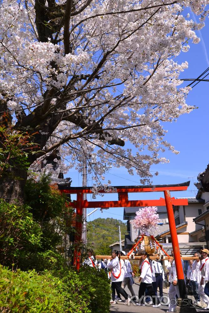 天龍神大神社さん　女神輿巡行