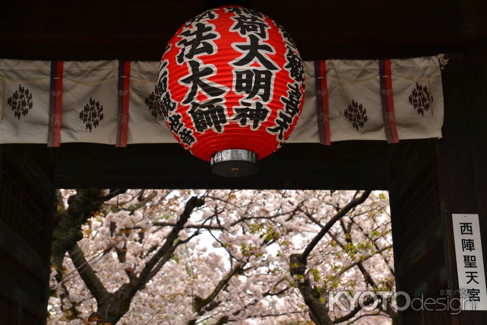 弘法大師さんもお花見