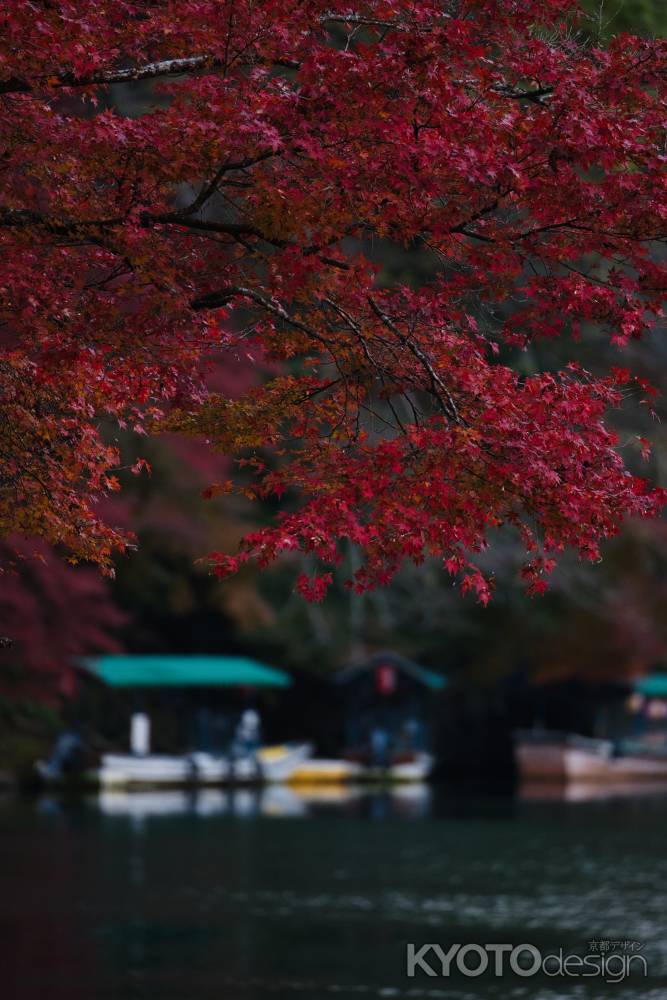 嵐山の紅葉