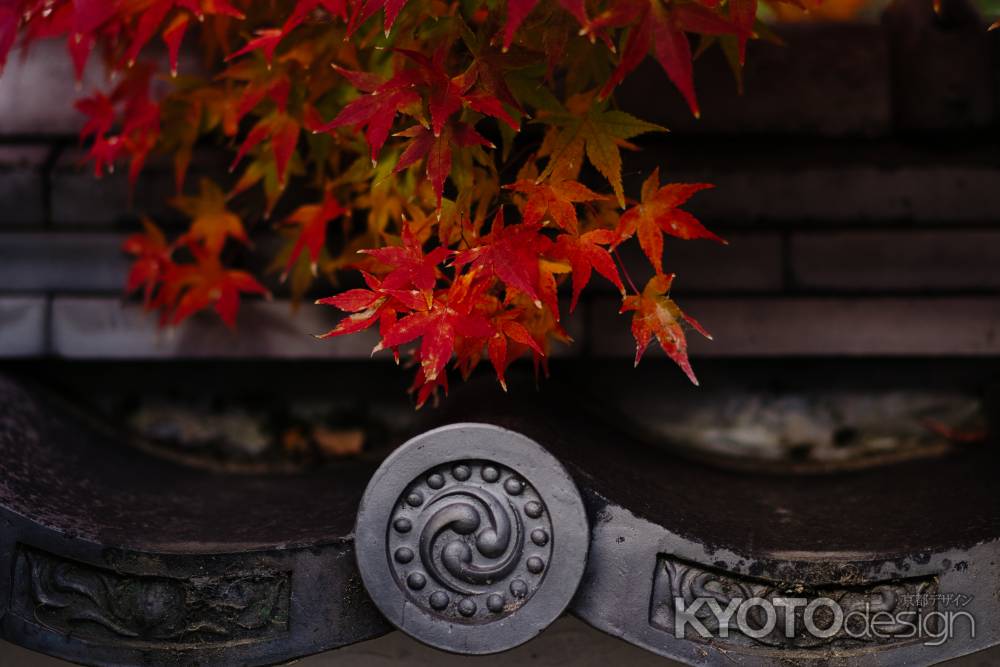 斎宮神社の紅葉