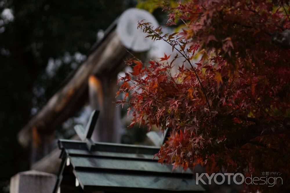 斎宮神社の紅葉