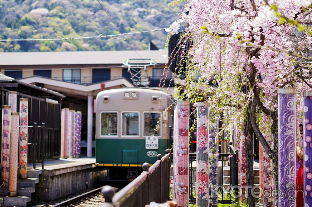 キモノフォレストの桜2