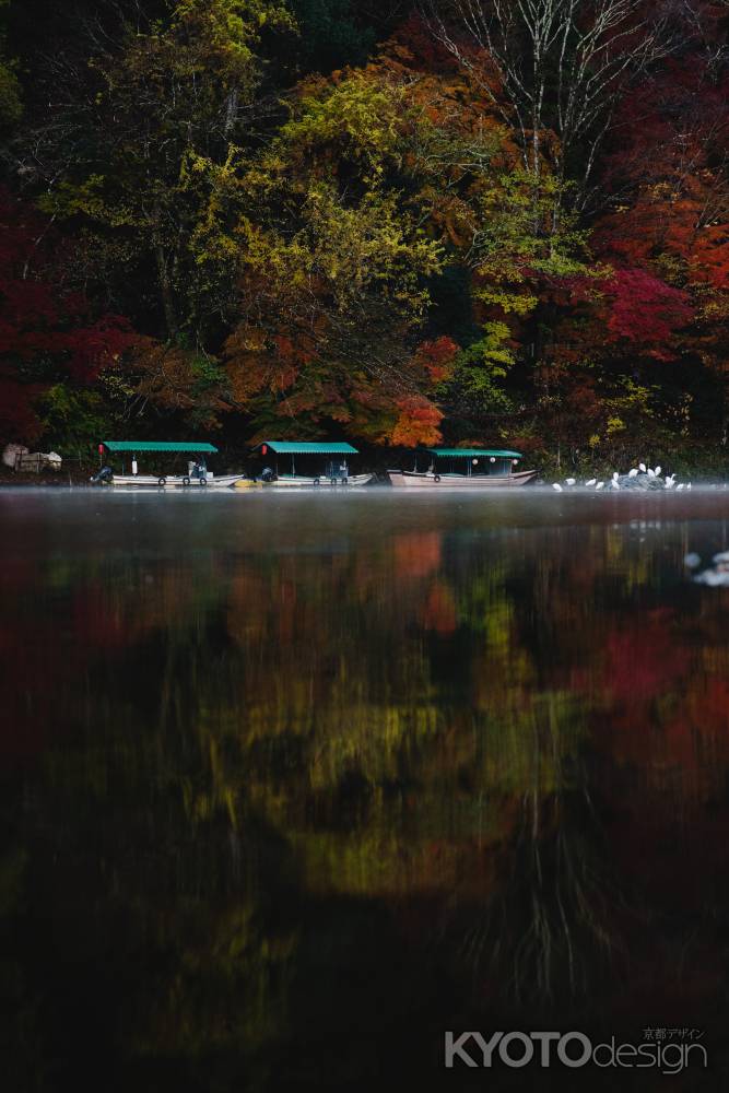 嵐山の朝霧