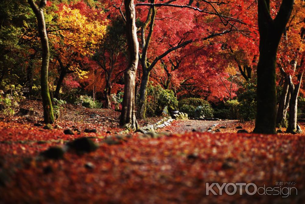 嵐山公園亀山地区