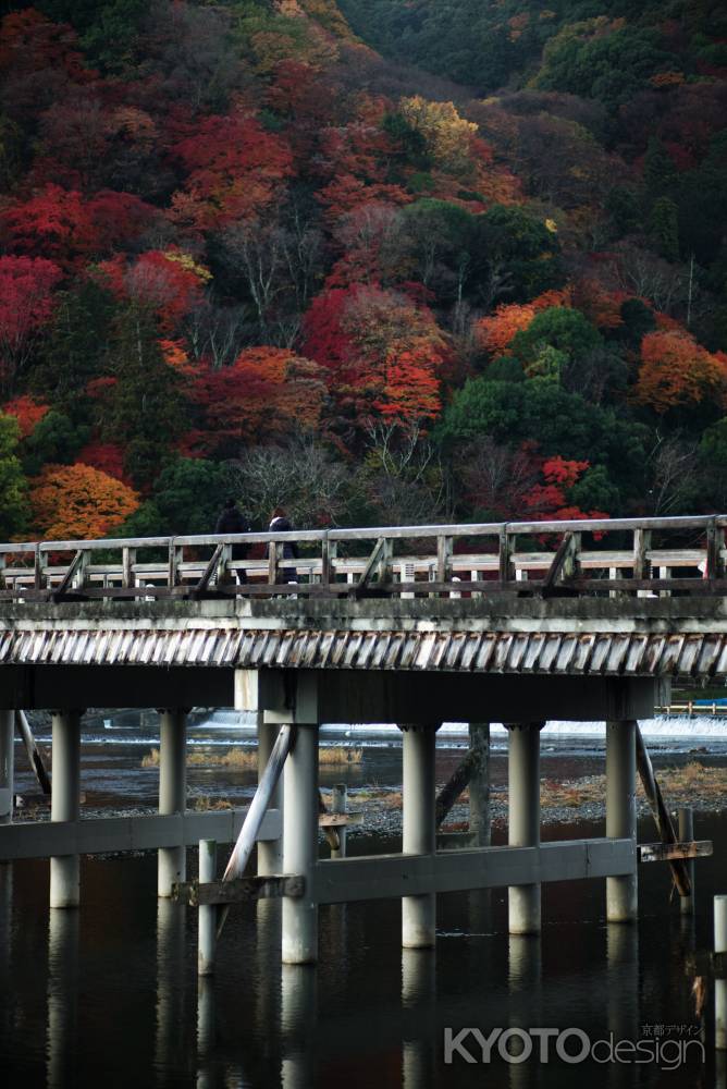 早朝の嵐山