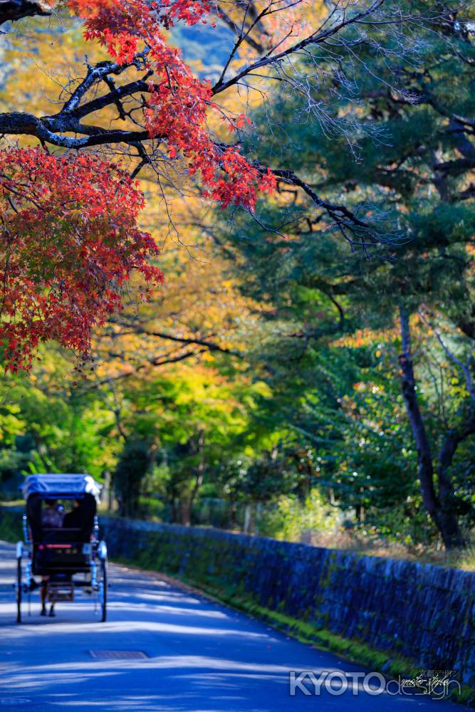 京都一人旅