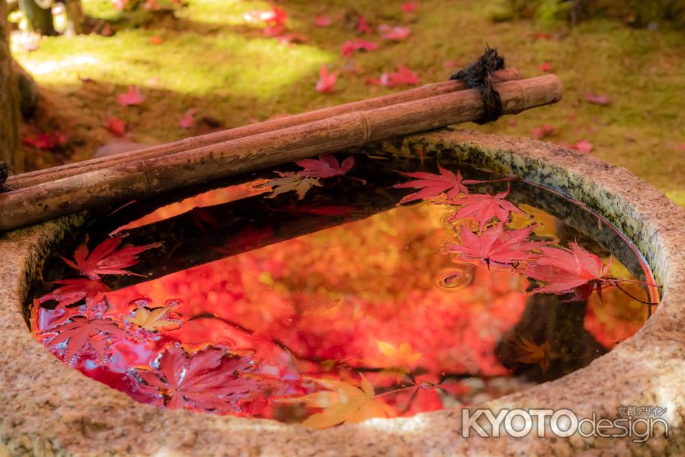 水の中の紅葉